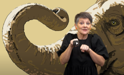 Sig mær, sást tú tað - tekn til tala